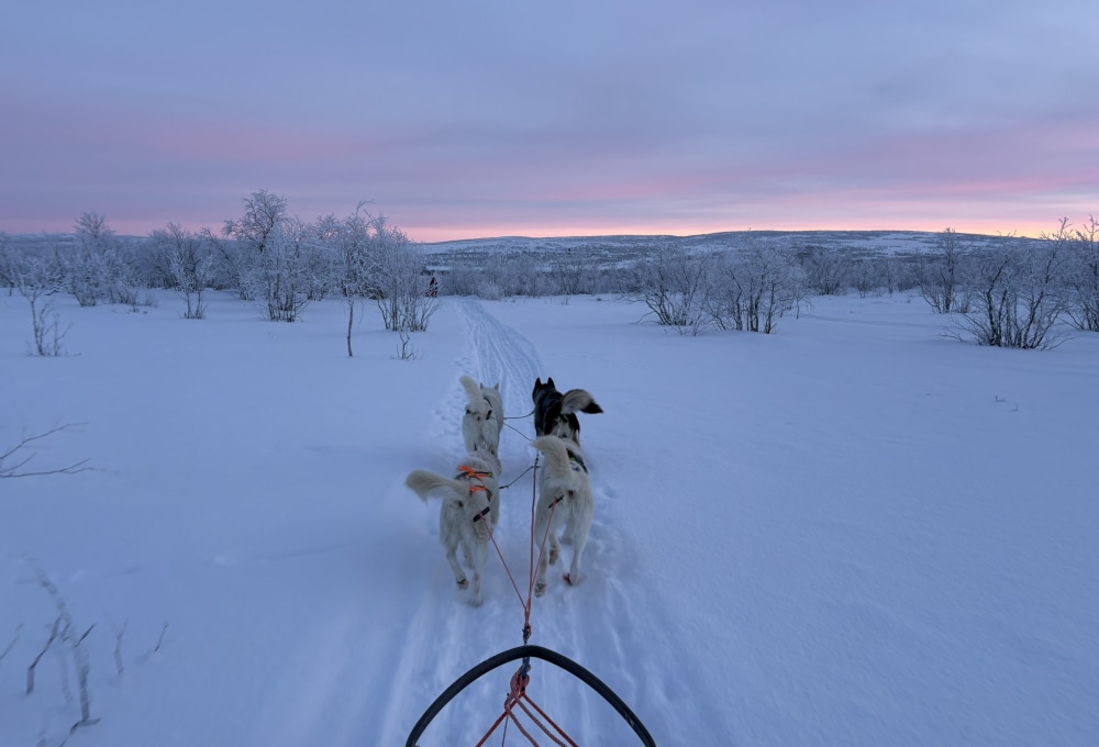 Start der Mehrtagestour in der Finnmarksvidda